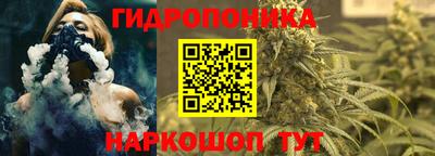 прущие грибы Свободный